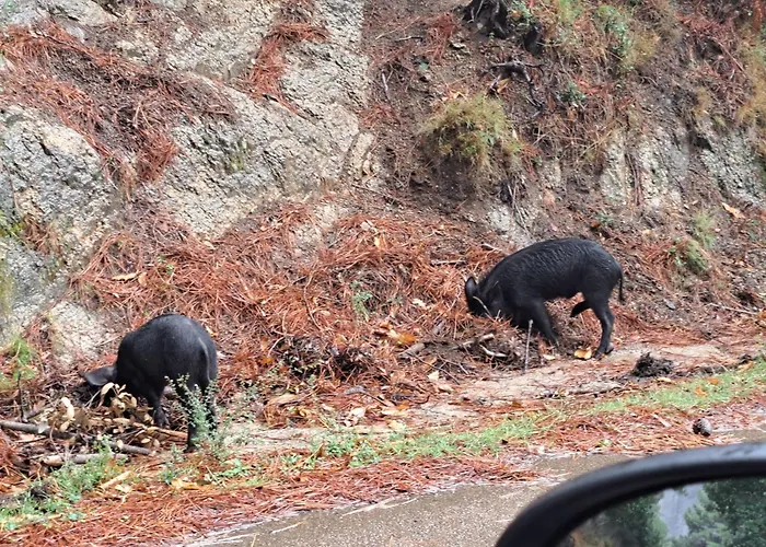 Belles Toutes Equipees Bord De Gerance Nouvelle * סן-ניקולאו